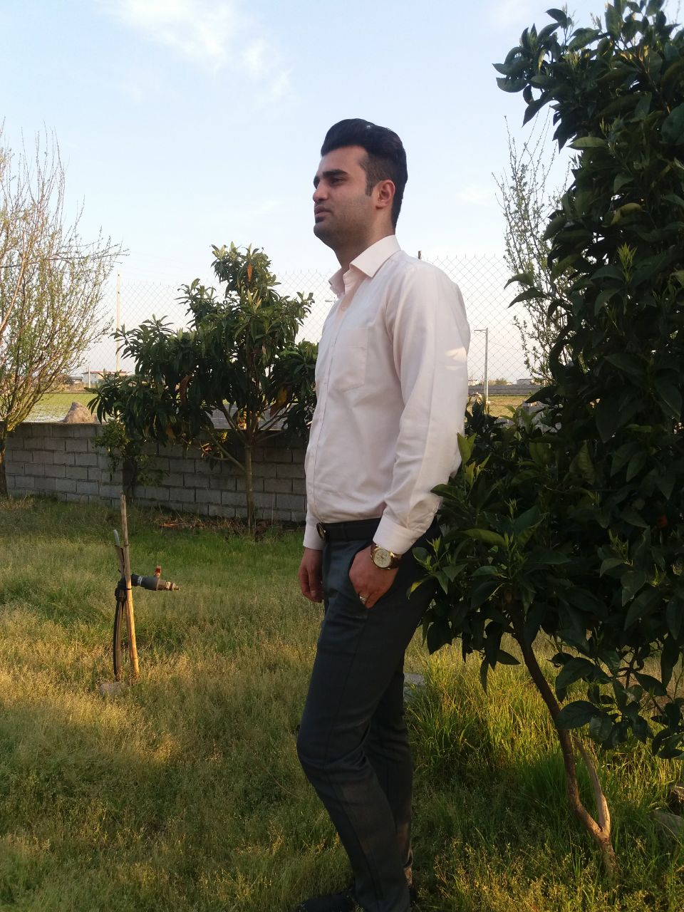مجید نظری