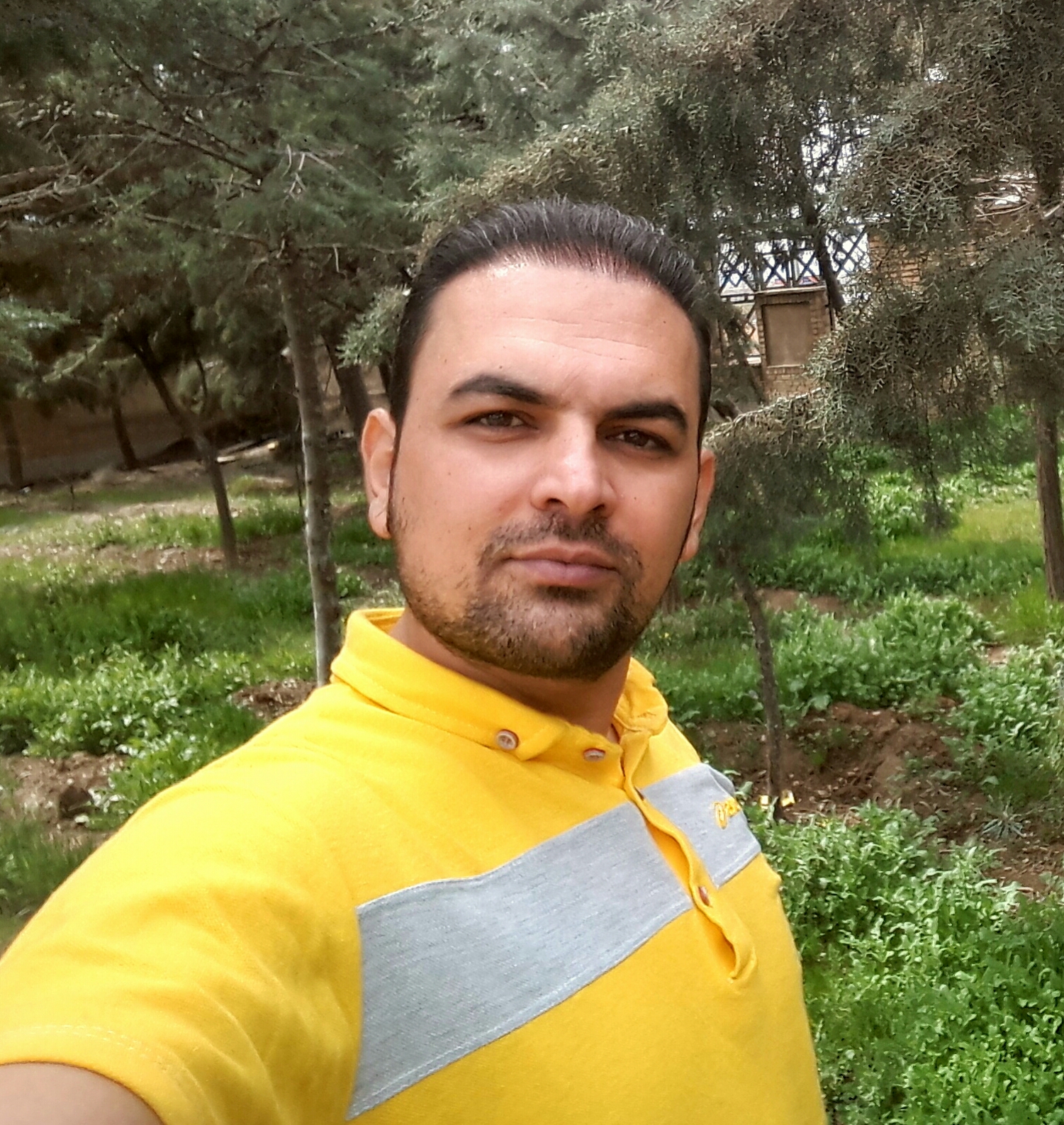 سعید سراقی